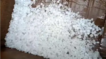 Bilecik'te Ceviz Büyüklüğünde Dolu Yağışı Tarım Arazilerine Zarar Verdi