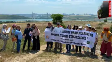 TMMOB Çevre Mühendisleri Odası İstanbul Çevre Durum Raporu'nu Yayımladı: Su Kaynakları Üzerindeki Baskı Artıyor