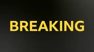 Kane Williamson, Yeni Zelanda Milli Takımı'nı Bıraktı