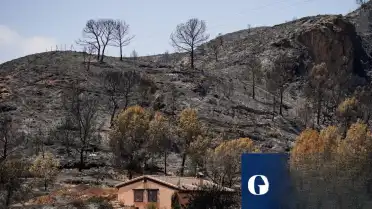 İspanya'daki Orman Yangınlarında 12 Yabancı Uyruklu Vatandaş Hayatını Kaybetti