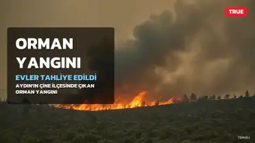 Aydın'ın Çine İlçesinde Ormanlık Alanda Yangın: 5 Ev Hasar Gördü, 30 Ev Tahliye Edildi