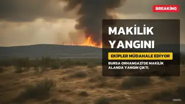 Bursa'nın Orhangazi İlçesinde Makilik Alanda Yangın: Ekipler Müdahale Ediyor