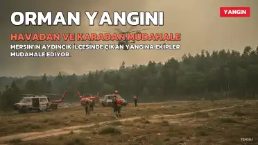 Mersin'in Aydıncık ilçesinde orman yangınına havadan ve karadan müdahale ediliyor