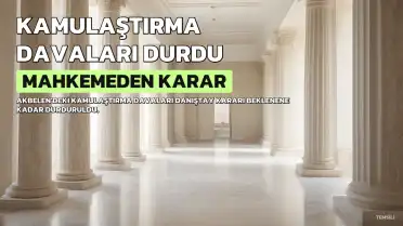 Milas 2. Asliye Hukuk Mahkemesi Kararı: Akbelen'deki Kamulaştırma Davaları Durduruldu