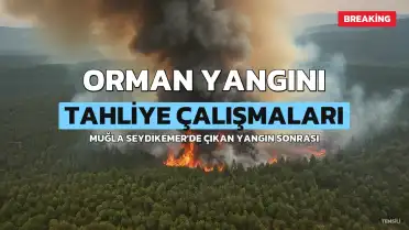 Muğla'da Yangın: Seydikemer'de 202 Kişi ve 50 Hayvan Tahliye Edildi, Hastalar Nakledildi