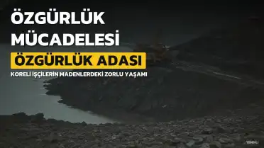 Özgürlük Adası Filmi Hakkında Bilinmesi Gerekenler: Konusu ve Oyuncu Kadrosu