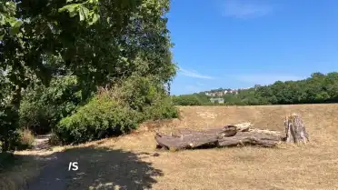 Londra'da Bavul İçinde Ceset Bulundu: İki Şüpheli Gözaltında