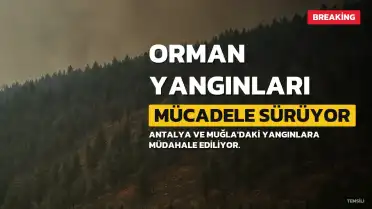 Türkiye Orman Yangınlarıyla Mücadele Ediyor: Antalya ve Muğla'da Son Durum