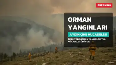 Türkiye'de Orman Yangınlarıyla Mücadele Sürüyor: Aydın Çine'de Kritik Durum