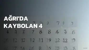 Ağrı'da Kaybolan 4 Yaşındaki Çocuk Bulundu