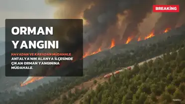 Alanya'da Orman Yangınına Havadan ve Karadan Müdahale