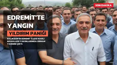 Balıkesir'in Edremit ilçesinde orman yangını: Yıldırım paniği