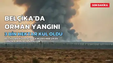 Belçika'da Kayıtlara Geçen En Büyük Orman Yangını: 3 Bin Hektar Alan Kül Oldu, Yangın Almanya'ya İlerliyor