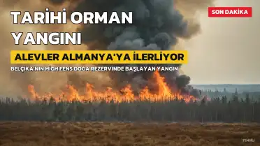Belçika'da Tarihi Orman Yangını: Alevler Almanya'ya Doğru İlerliyor
