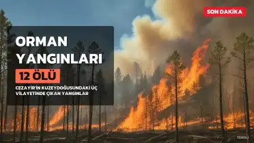 Cezayir'de Orman Yangınları: 12 Kişi Hayatını Kaybetti