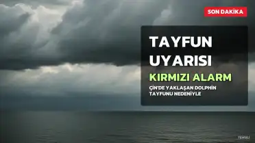 Çin'de Dolphin Tayfunu Nedeniyle Kırmızı Alarm Verildi