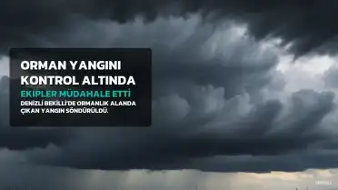 Denizli'nin Bekilli İlçesindeki Orman Yangını Kontrol Altına Alındı