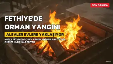 Fethiye'de Orman Yangını Kontrol Altına Alınmaya Çalışılıyor