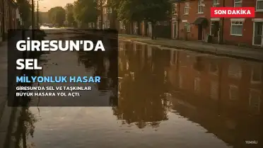 Giresun'da Sel Felaketi: 2 Milyon Liralık Hasar Oluştu, 10 Kişi Kurtarıldı