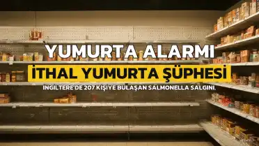 İngiltere'de Salmonella Salgını: 1 Ölü, 207 Vaka, İthal Yumurta Şüphesi