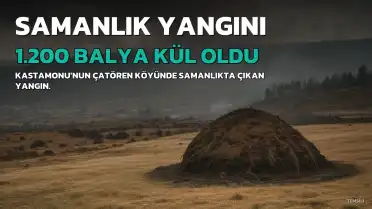 Kastamonu'da Yangın: 1.200 Balya Saman Kül Oldu