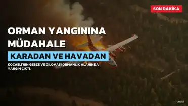 Kocaeli'de Ormanlık Alanda Yangın: Müdahale Devam Ediyor