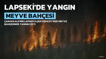 Lapseki'de Meyve Bahçesinde Çıkan Yangına Müdahale Ediliyor