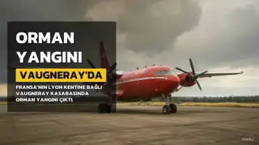 Lyon Yakınlarında Orman Yangını: 5 Bin Metrekare Alan Kül Oldu