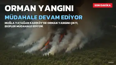 Muğla'nın Yatağan İlçesinde Orman Yangını: Müdahale Devam Ediyor