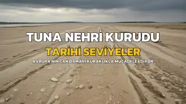 Tuna Nehri Kuraklıkla Tarihi Seviyelere Geriledi: Avrupa'nın Can Damarı Tehlikede