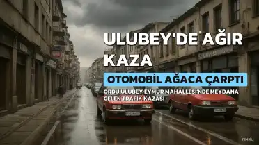 Ulubey'de Ağaca Çarpan Otomobil Sürücüsünün Ölümüne Neden Oldu