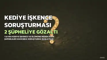 Yavru Kediye İşkence ve Ölümüne Neden Olan 2 Şüpheli Hakkında Gözaltı Kararı
