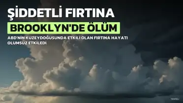 ABD Kuzeydoğusundaki Fırtına Brooklyn'de Bir Kişinin Ölümüne Neden Oldu