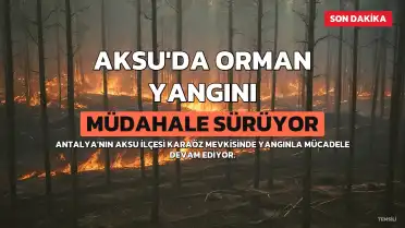 Antalya Aksu'da Orman Yangınına Müdahale Sürüyor
