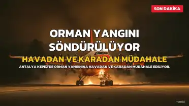Antalya'da Orman Yangını: Havadan ve Karadan Müdahale Devam Ediyor