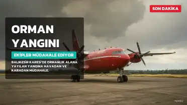 Balıkesir'de Orman Yangını: Ekipler Müdahale Ediyor
