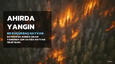 Batman'da Ahır Yangınında 80 Küçükbaş Hayvan Telef Oldu