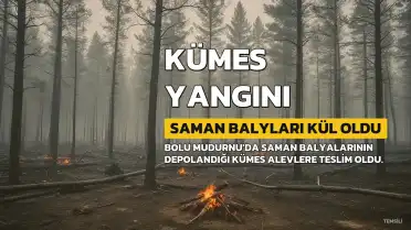 Bolu'nun Mudurnu İlçesinde Kümes Yangını: Saman Balyları Kül Oldu