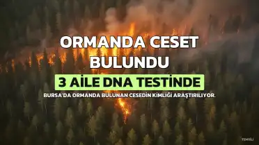 Bursa'da Ormanda Bulunan Cesedin Kimliği Araştırılıyor: 3 Aile DNA Testi İçin Çağrıldı