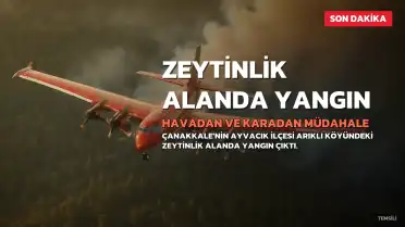 Çanakkale'nin Ayvacık ilçesinde zeytinlik alanda yangın çıktı: Havadan ve karadan müdahale ediliyor