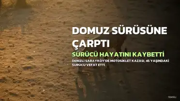 Denizli'de Motosikletli Sürücü Domuz Sürüsüne Çarparak Hayatını Kaybetti