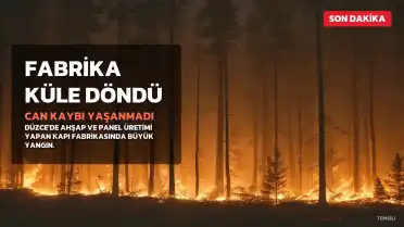 Düzce'de Kapı Fabrikasında Yangın: Can Kaybı Yaşanmadı, Bir İtfaiye Eri Yaralandı
