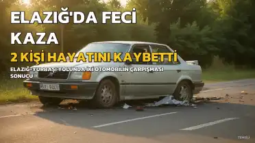 Elazığ'da Trafik Kazası: 2 Kişi Hayatını Kaybetti, 2 Kişi Yaralandı