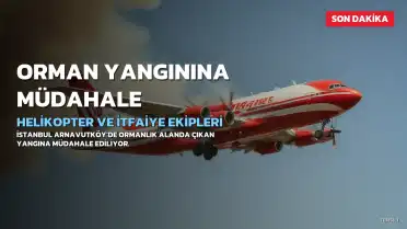 İstanbul Arnavutköy'de Orman Yangınına Müdahale Ediliyor