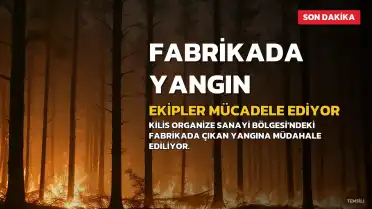 Kilis OSB'deki Ambalaj Fabrikasında Yangın Söndürme Çalışmaları Devam Ediyor