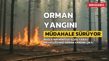Muğla'nın Menteşe ilçesinde orman yangını: Havadan ve karadan müdahale sürüyor