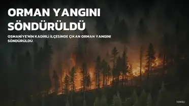 Osmaniye'nin Kadirli İlçesinde Orman Yangını Söndürüldü