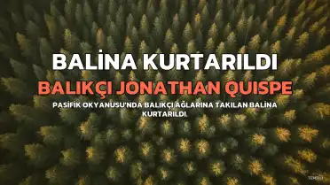 Pasifik Okyanusu'nda Balıkçı, Ağa Takılan Balinayı Kurtardı