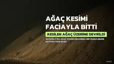 Aksaray'da Ağaç Kesimi Sırasında Feci Kaza: 1 Ölü, 1 Gözaltı