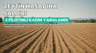 Batı Şeria'da Zeytin Hasadı Sırasında Filistinli Kadınlara Saldırı: 2 Yaralı